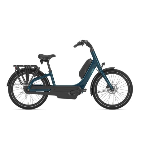 Gazelle Easyflow C7 Pine Green Glans