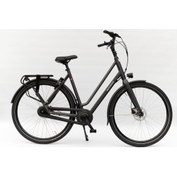 Batavus Winner