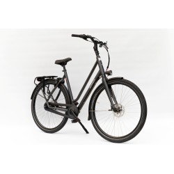 Batavus Winner