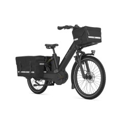 Gazelle Cabby C380, incl. 725 Wh