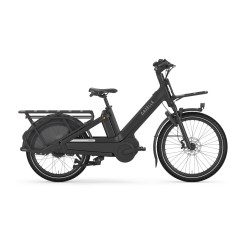 Gazelle Cabby C380, incl. 725 Wh