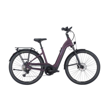 Pegasus Premio Evo 11 Lite, 750 Wh