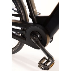 Button Cycle Gold Class C380