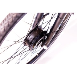Button Cycle Gold Class C380