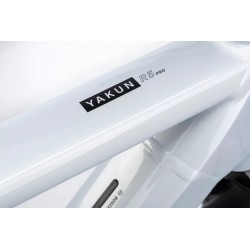 Winora Yakun R5 Pro