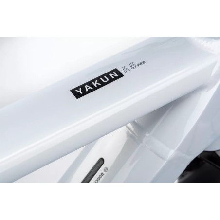 Winora Yakun R5 Pro