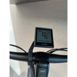 Gazelle Avignon C380 HMB Belt demo