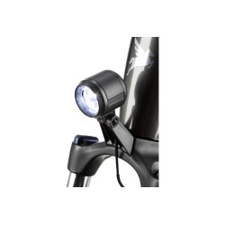 Pegasus Ravenna Evo NV Belt Performance, 750 Wh