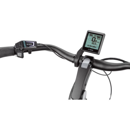 Pegasus Ravenna Evo 8F Belt, 625 Wh