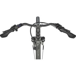 Pegasus Siena E7F, 500 Wh