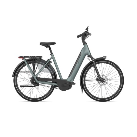 Gazelle Grenoble C310