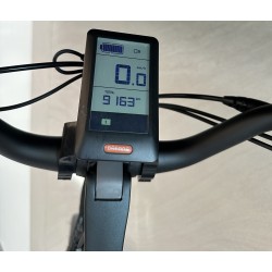 Button Cycle First Class, D49 (2e hands)